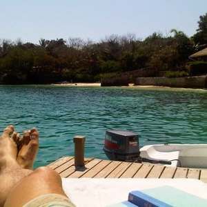 Meet your Posher, Willy